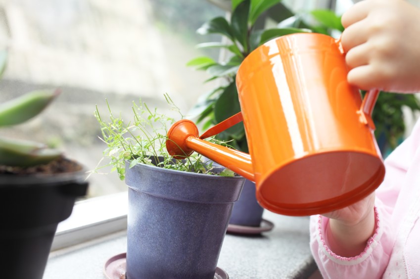 watering can watering a flower pot