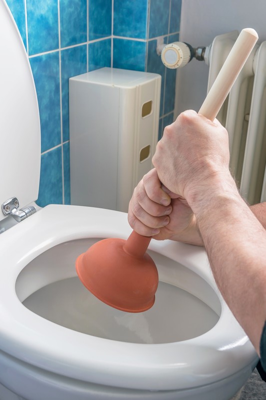 How to Unblock a Badly Clogged Toilet, Blog