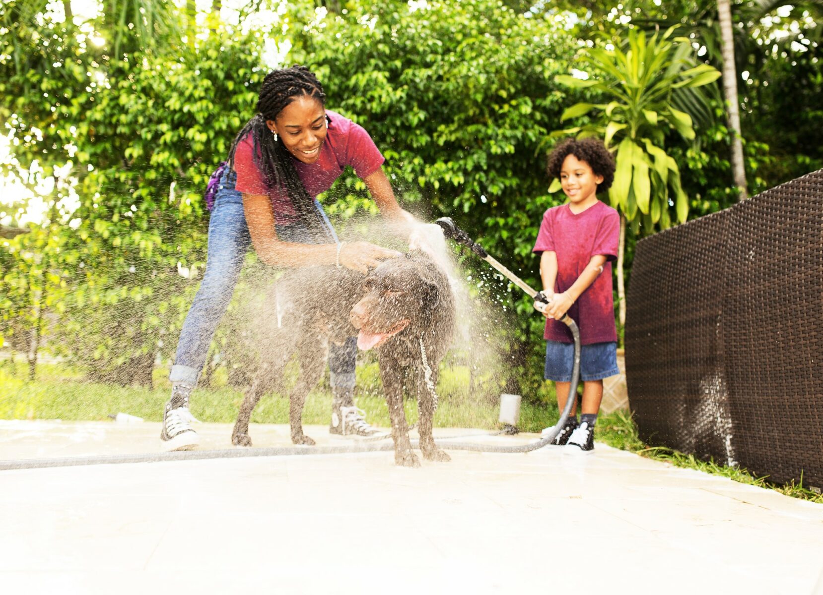 Outdoor water clearance faucet for dogs